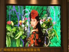 万科地产---广州增城桃源里销售中心